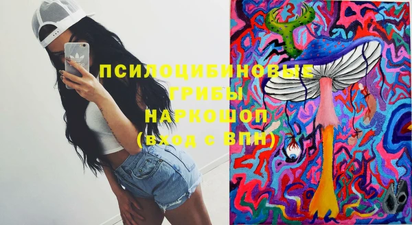 бошки Семилуки