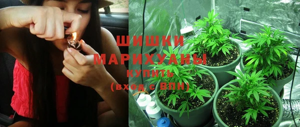 бошки Семилуки