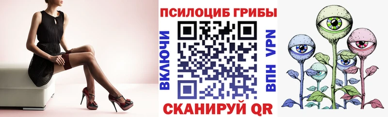 Галлюциногенные грибы GOLDEN TEACHER  Кедровый 